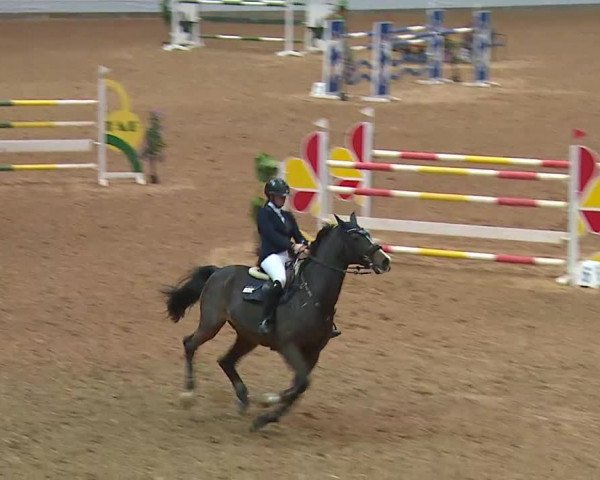 Reitturnier Kreuth/Opf. 2021