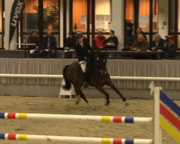 Münster-Handorf 2014