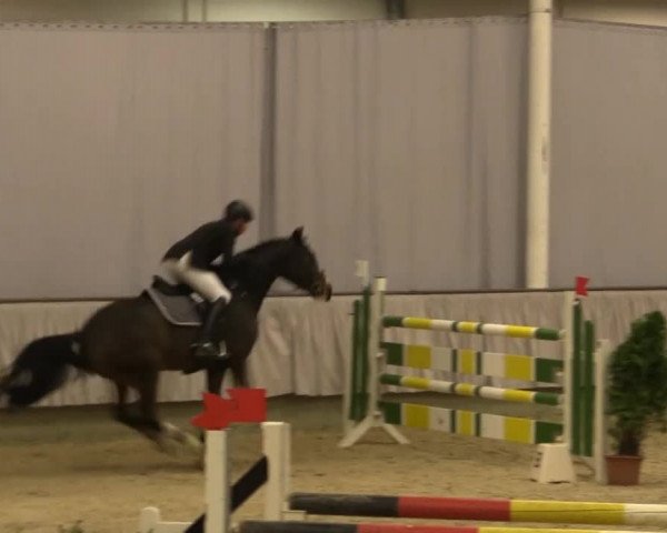 Münster-Handorf 2014