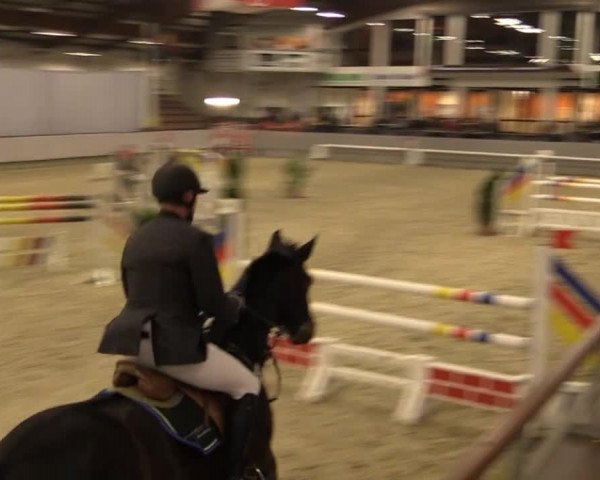 Münster-Handorf 2014