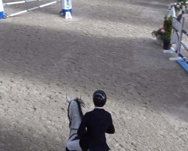 Torneo Equestre Oberriet 2026