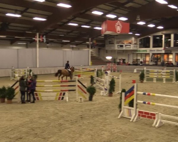Münster-Handorf 2014