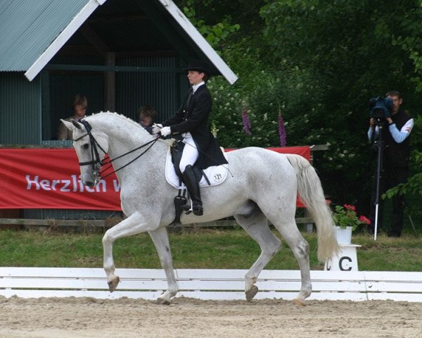 Dressurpferd Cabalero 5 (Hannoveraner, 1997, von Calido I)
