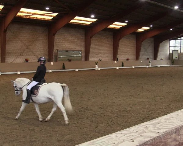 Reitturnier Kamen 2021
