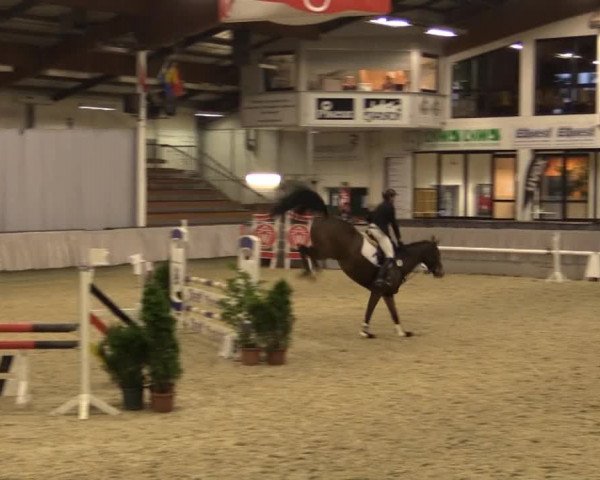 Münster-Handorf 2014