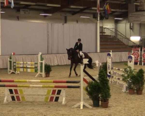 Münster-Handorf 2014