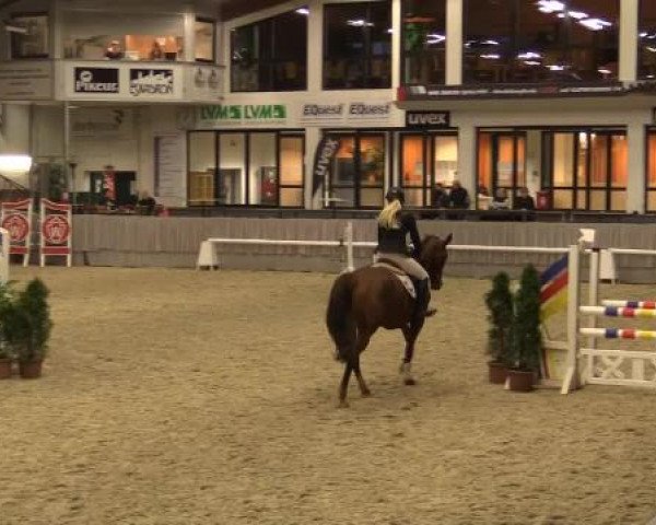 Münster-Handorf 2014