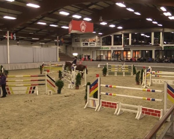 Münster-Handorf 2014