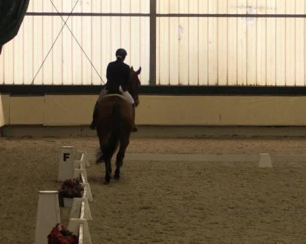 Münster-Handorf 2014
