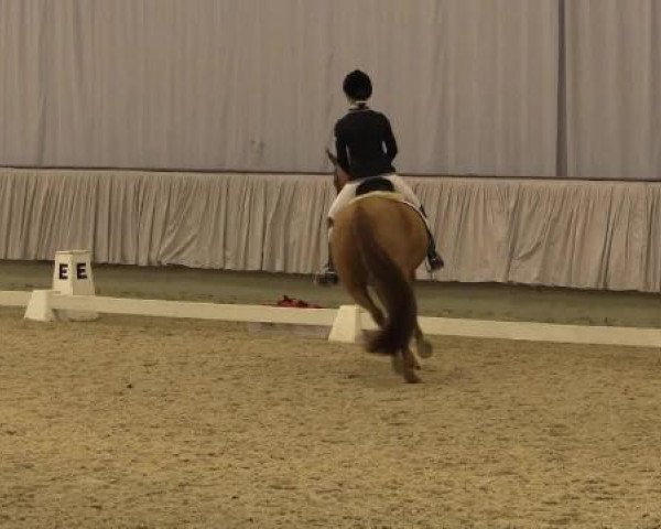 Münster-Handorf 2014