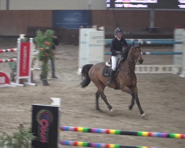 Reitturnier Grevenbroich - Gut Neuhaus 2021