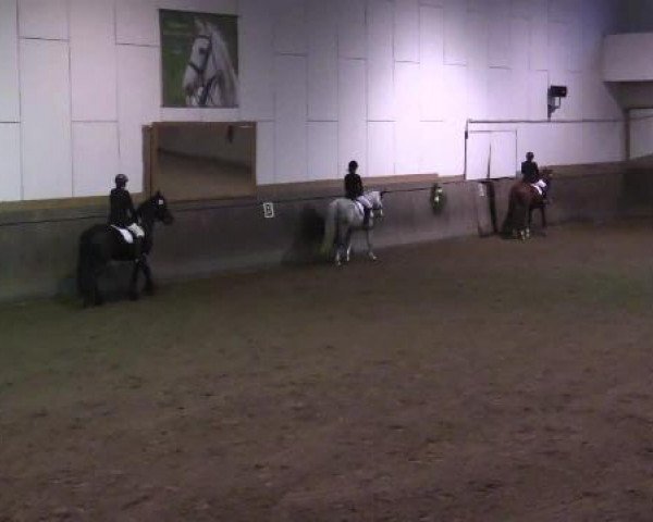 Winterchampionat Essen-Stadtwald 2014