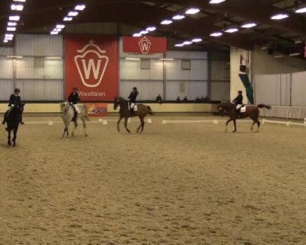 Münster-Handorf 2014