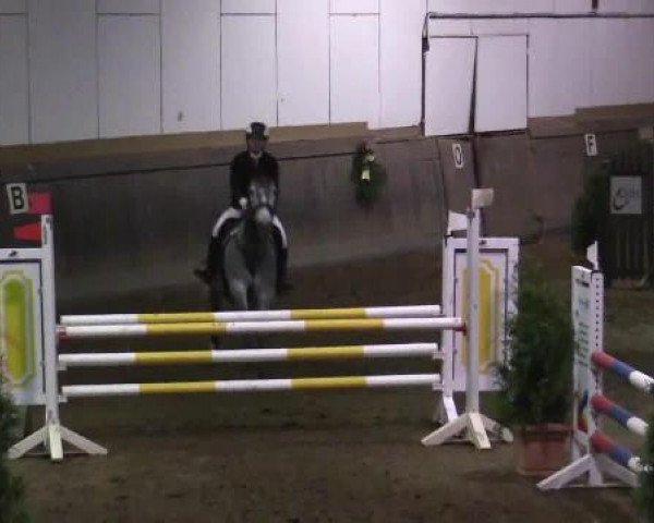 Winterchampionat Essen-Stadtwald 2014
