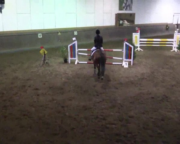 Winterchampionat Essen-Stadtwald 2014