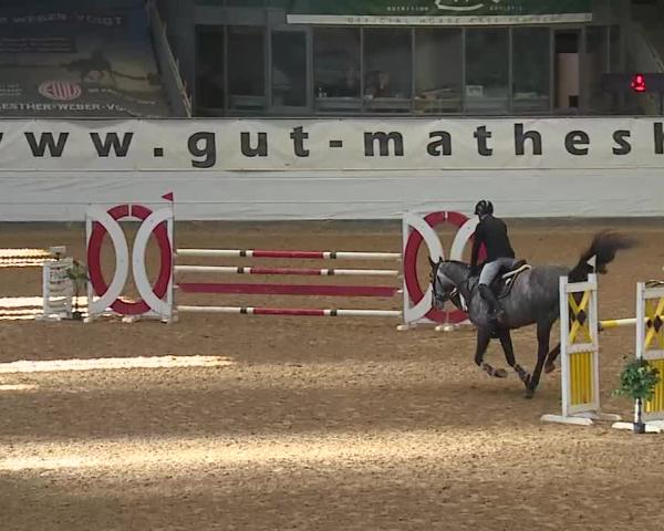 Hippisch Toernooi Kreuth/Opf. 2026