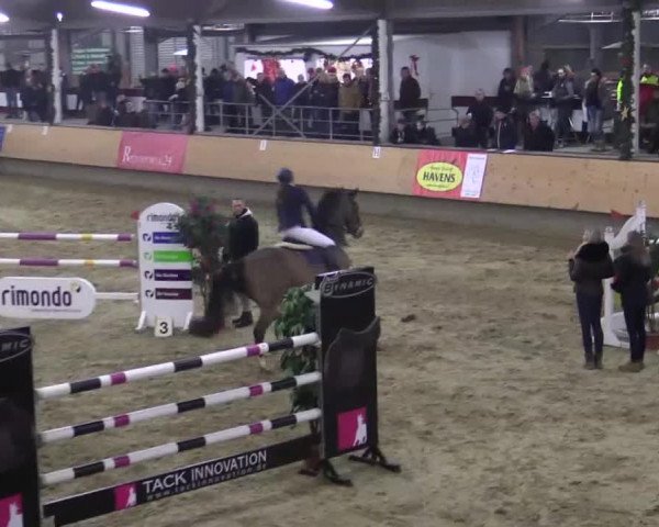 22. Großes Hallen-Springturnier 2014 - Alt Marl