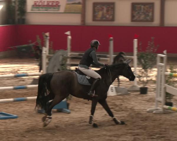 Rideturnering Gehrde-Klein Drehle 2026