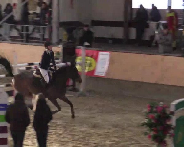 22. Großes Hallen-Springturnier 2014 - Alt Marl