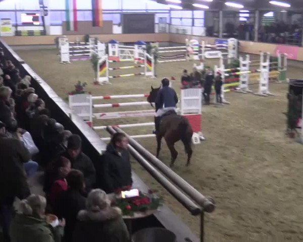 22. Großes Hallen-Springturnier 2014 - Alt Marl