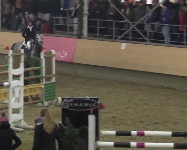 22. Großes Hallen-Springturnier 2014 - Alt Marl