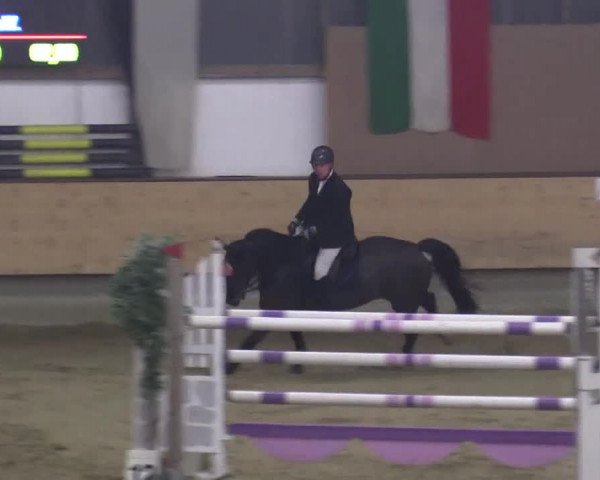 22. Großes Hallen-Springturnier 2014 - Alt Marl