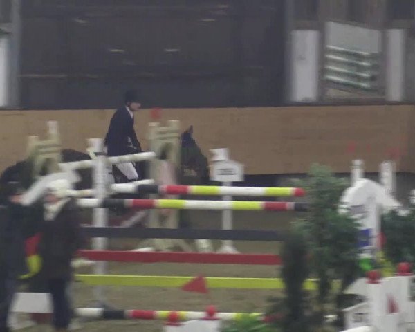 22. Großes Hallen-Springturnier 2014 - Alt Marl