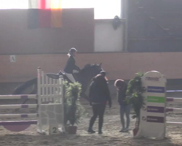 22. Großes Hallen-Springturnier 2014 - Alt Marl