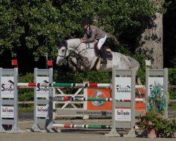 jumper Christof 6 (Holsteiner, 2013, from Christian 25)