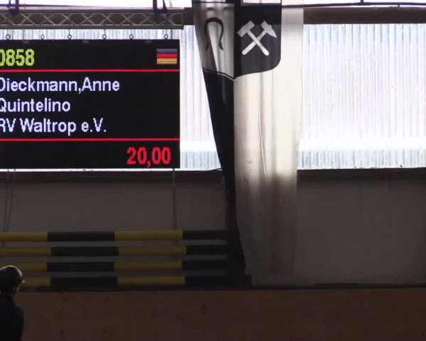 22. Großes Hallen-Springturnier 2014 - Alt Marl