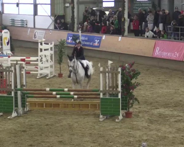 22. Großes Hallen-Springturnier 2014 - Alt Marl