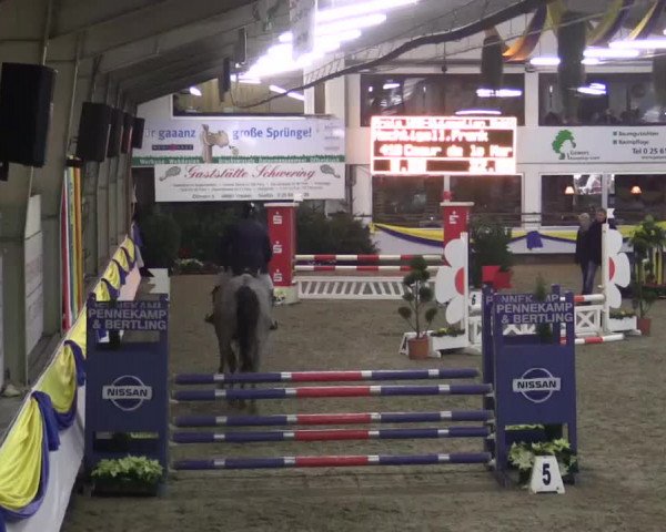 23. Grosses Hallenspringturnier Vreden