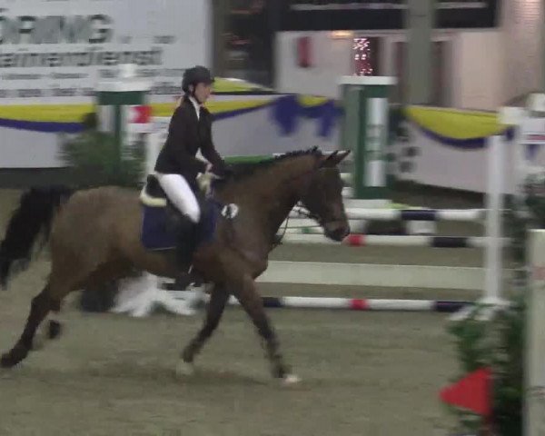 23. Grosses Hallenspringturnier Vreden