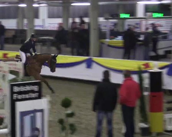 23. Grosses Hallenspringturnier Vreden
