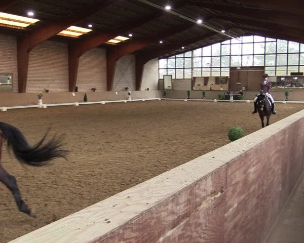 Reitturnier Kamen 2021
