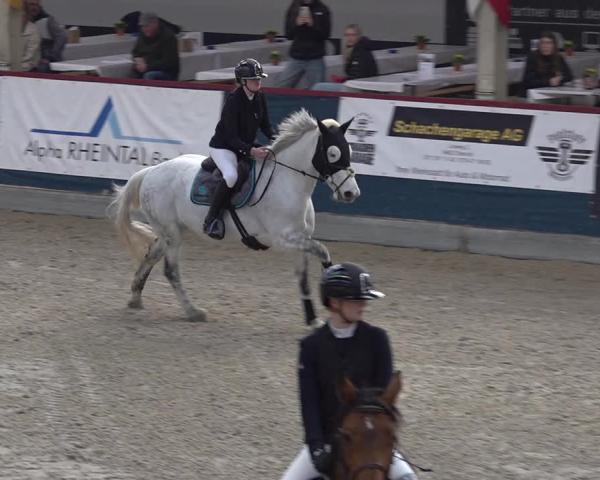 Equestrian Show Oberriet 2026