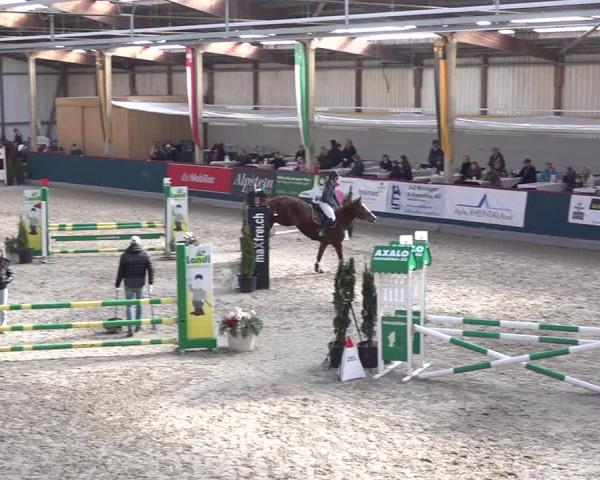 Equestrian Show Oberriet 2026