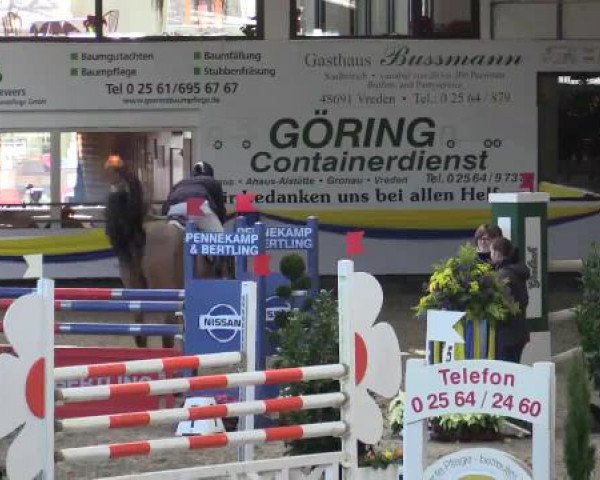 23. Grosses Hallenspringturnier Vreden
