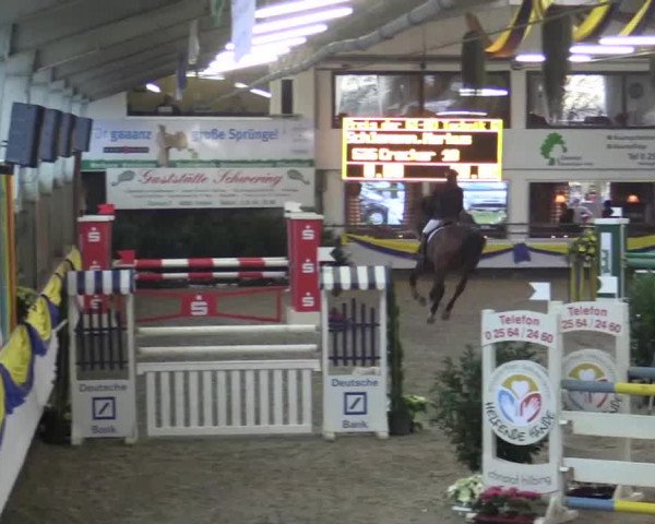 23. Grosses Hallenspringturnier Vreden