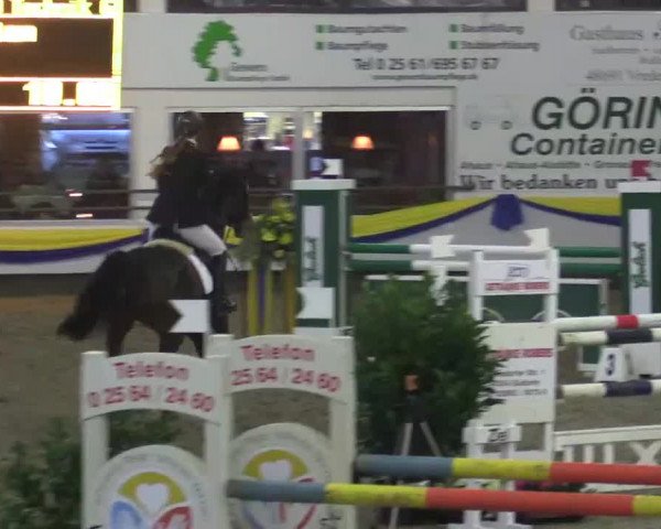 23. Grosses Hallenspringturnier Vreden