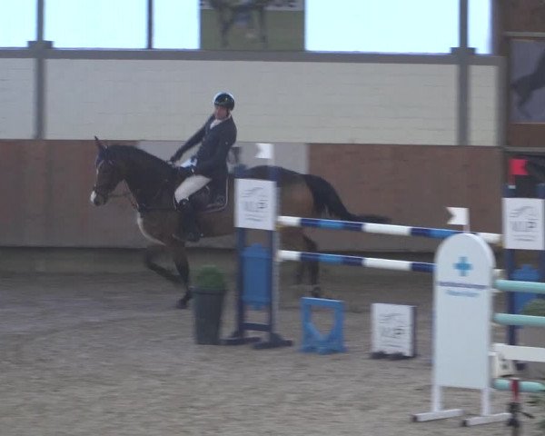 Reitturnier Grevenbroich - Gut Neuhaus 2021