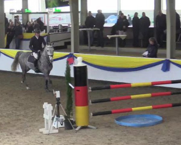 23. Grosses Hallenspringturnier Vreden