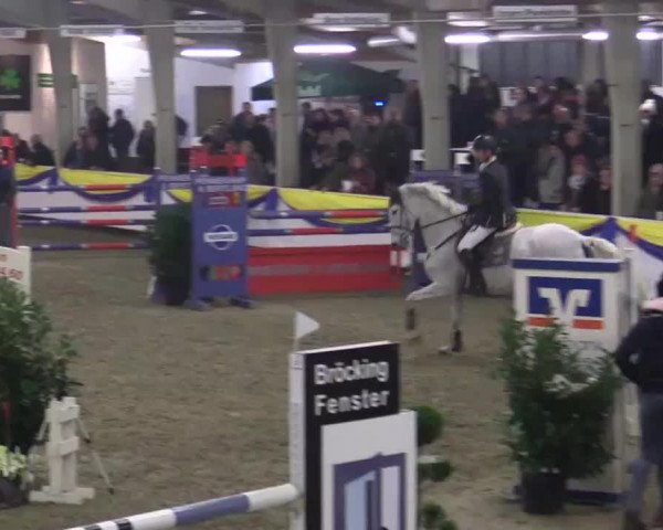 23. Grosses Hallenspringturnier Vreden