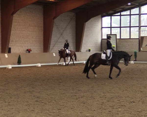 Reitturnier Kamen 2021