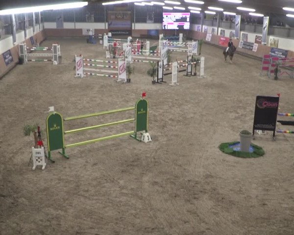 Reitturnier Grevenbroich - Gut Neuhaus 2021