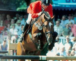 stallion Lordanos (Holsteiner, 1993, from Landos)