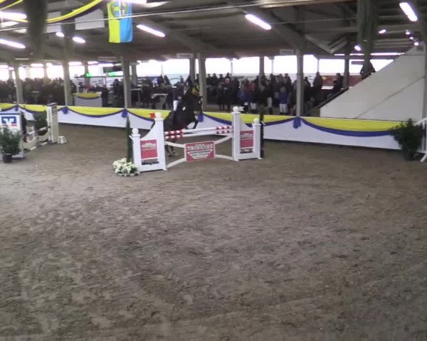 23. Grosses Hallenspringturnier Vreden