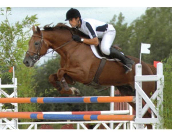 Hingst Valespoir Malabry (Selle Français, 1987, från Double Espoir)