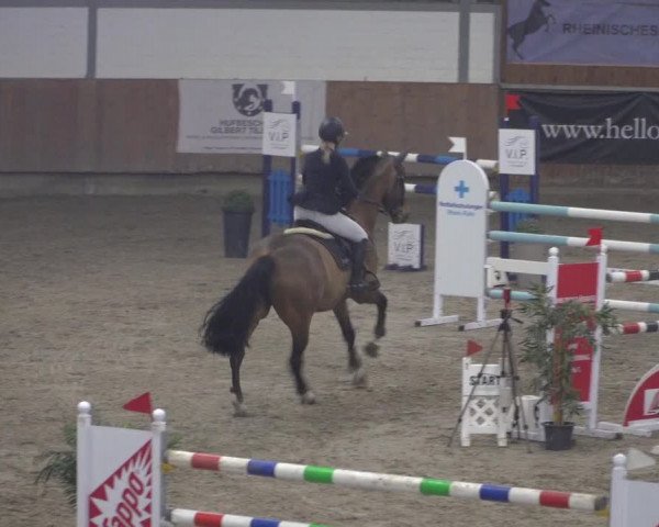 Reitturnier Grevenbroich - Gut Neuhaus 2021