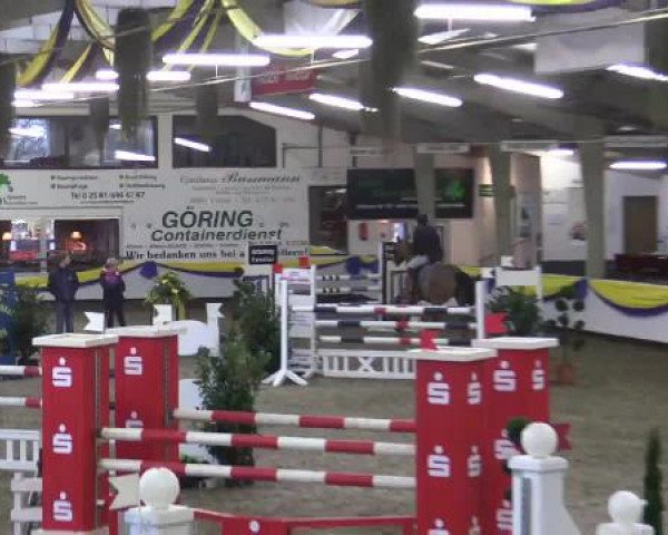 23. Grosses Hallenspringturnier Vreden